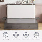 Mjkone Queen Size Murphy Bed Cabinet with USB Charging, Storage Drawer & Mattress