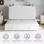 Mjkone Queen Size Murphy Bed Cabinet with USB Charging, Storage Drawer & Mattress