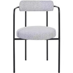 Andrean Dining Arm Chair (Set of 2) - DCH3901 - Safavieh