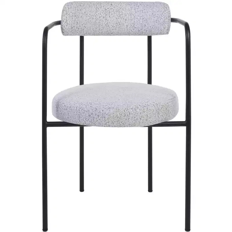 Andrean Dining Arm Chair (Set of 2) - DCH3901 - Safavieh