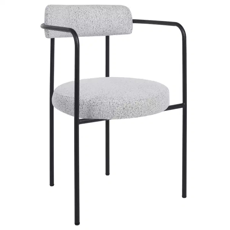 Andrean Dining Arm Chair (Set of 2) - DCH3901 - Safavieh