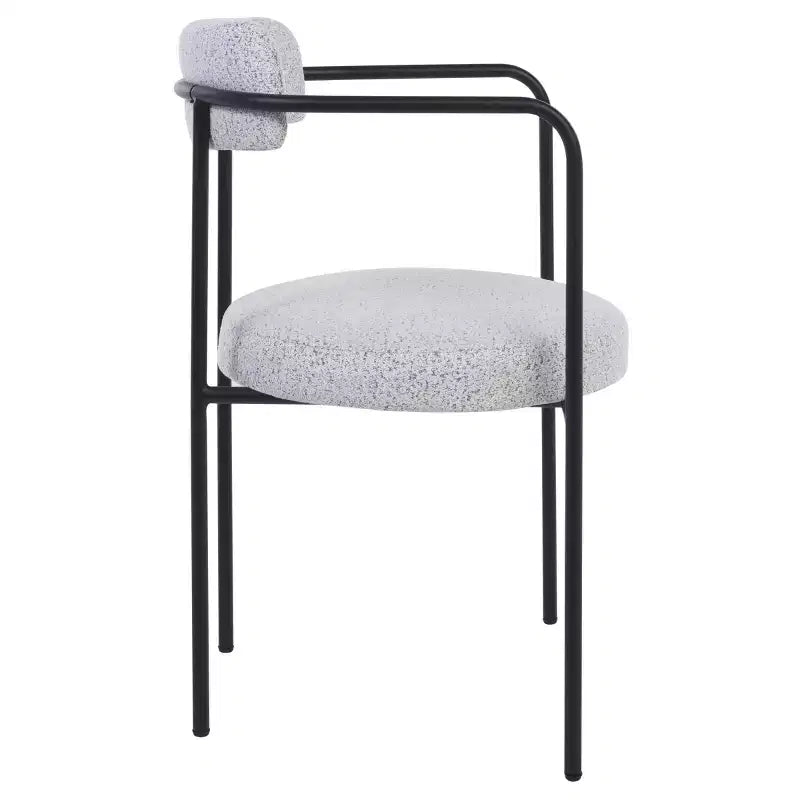Andrean Dining Arm Chair (Set of 2) - DCH3901 - Safavieh
