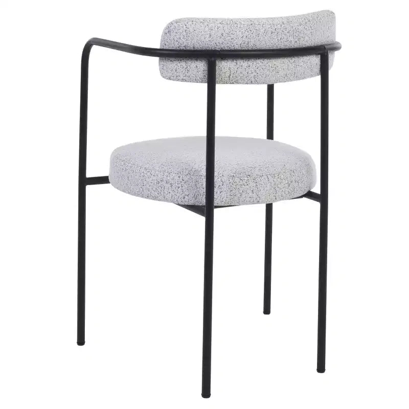 Andrean Dining Arm Chair (Set of 2) - DCH3901 - Safavieh
