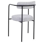 Andrean Dining Arm Chair (Set of 2) - DCH3901 - Safavieh