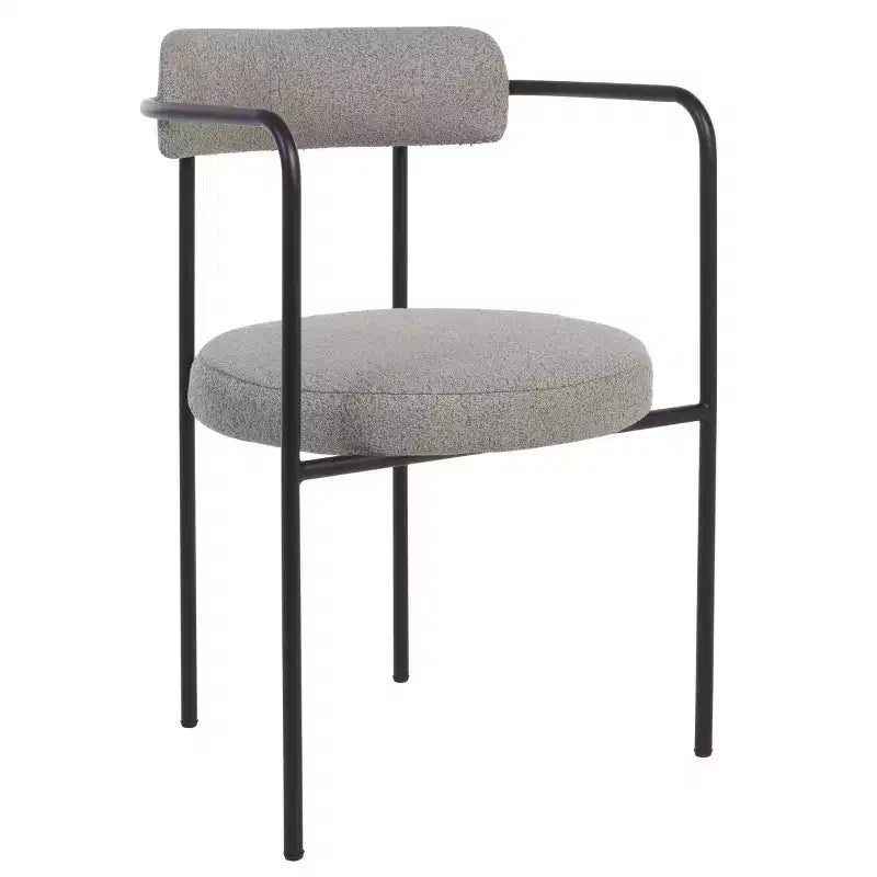 Andrean Dining Arm Chair (Set of 2) - DCH3901 - Safavieh