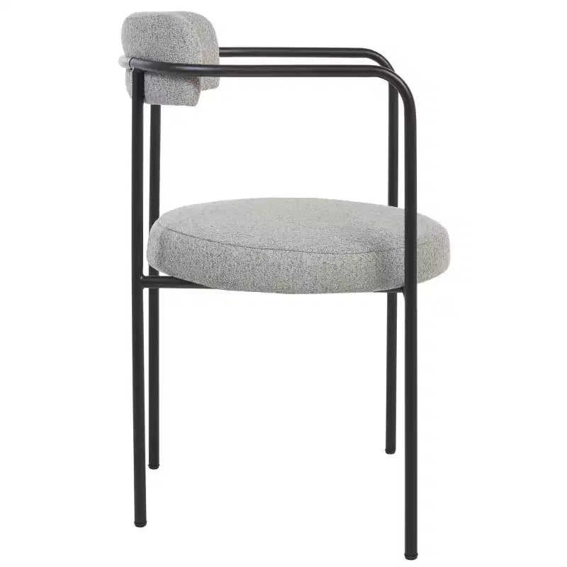 Andrean Dining Arm Chair (Set of 2) - DCH3901 - Safavieh
