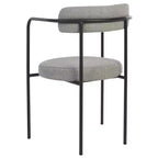 Andrean Dining Arm Chair (Set of 2) - DCH3901 - Safavieh