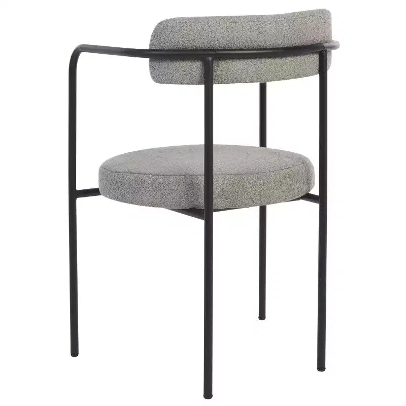 Andrean Dining Arm Chair (Set of 2) - DCH3901 - Safavieh