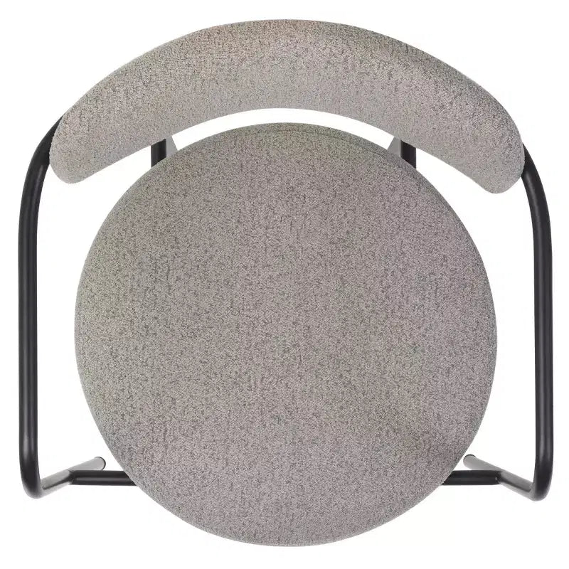 Andrean Dining Arm Chair (Set of 2) - DCH3901 - Safavieh
