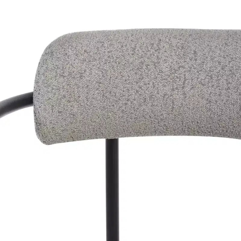 Andrean Dining Arm Chair (Set of 2) - DCH3901 - Safavieh