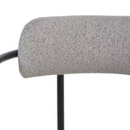 Andrean Dining Arm Chair (Set of 2) - DCH3901 - Safavieh