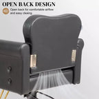 Karl Home Black Gold Heavy Duty Hydraulic Swivel Hair Stylist Salon Chair with Button Tufting