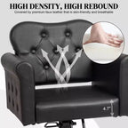 Karl Home Black Gold Heavy Duty Hydraulic Swivel Hair Stylist Salon Chair with Button Tufting