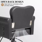 Karl Home Black Gold Heavy Duty Hydraulic Swivel Hair Stylist Salon Chair with Button Tufting