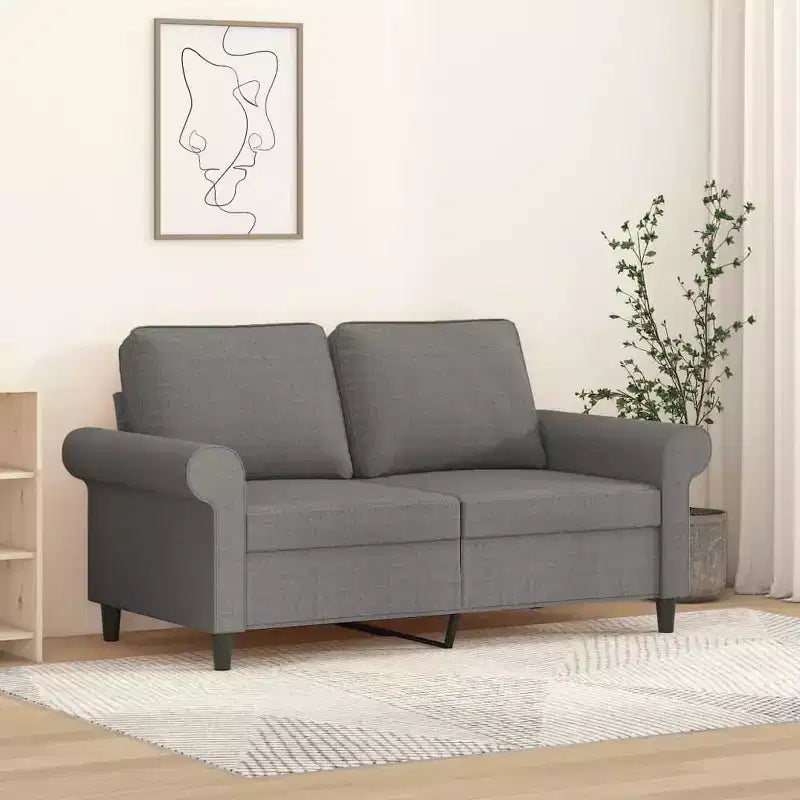 vidaXL 2-seater Sofa Dark Gray Polyester 2-seater 2-Seater Sofa