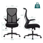 Okak Modern Mesh Adjustable Computer Desk Chair with Armrests & Lumbar Support,Ergonomic Swivel Task Chair for Office,Study