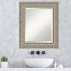Amanti Art Sydney Silver Beveled Framed Bathroom Vanity Wall Mirror