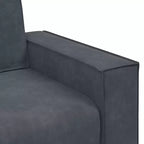 vidaXL 2 Piece Sofa Set with Cushions Black Velvet