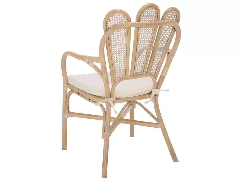 Maki Arm Chair - ACH4904 - White Washed/Ivory - Safavieh