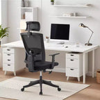 Acekool Black Ergonomic Mesh Office Chair with Adjustable Support for Home and Office