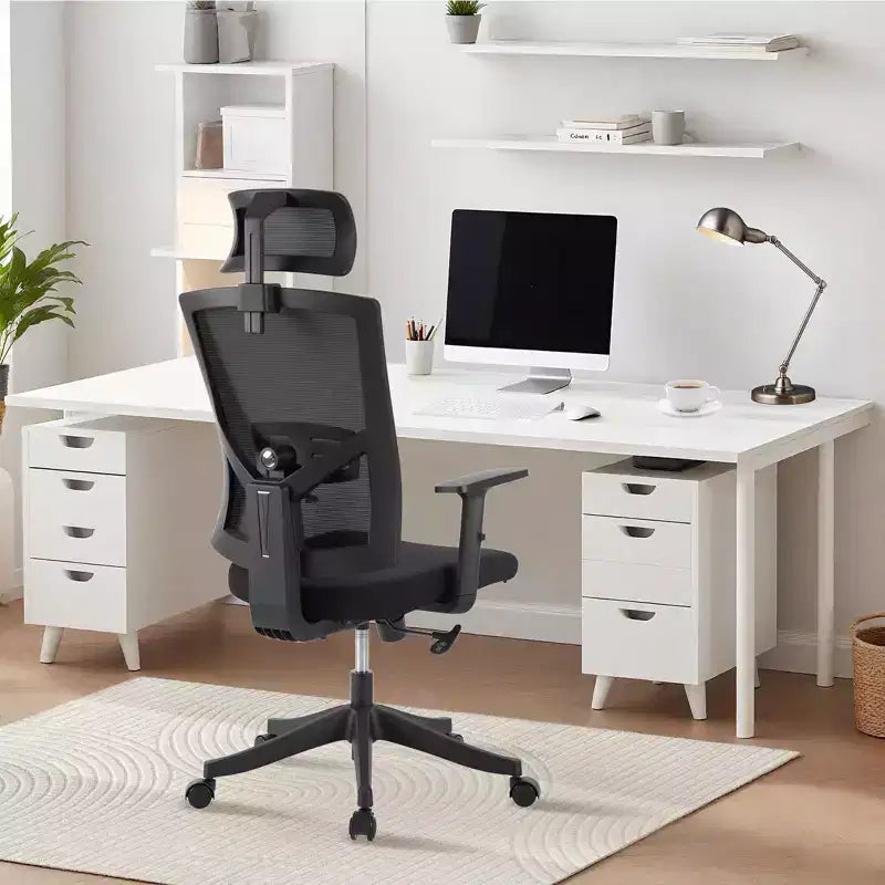 Acekool Black Ergonomic Mesh Office Chair with Adjustable Support for Home and Office