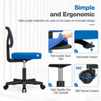 TUYOHW Low-Back Mesh Armless Office Chair, Computer Chair with Lumbar Support, Desk Chair for Study, Office, Reading Room