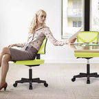 TUYOHW Low-Back Mesh Armless Office Chair, Computer Chair with Lumbar Support, Desk Chair for Study, Office, Reading Room