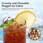 Portable Ice Maker