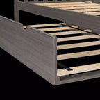 Max & Lily Twin Trundle Bed