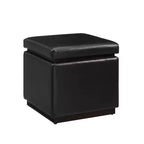Lucinda Square Faux Leather Ottoman - Linon