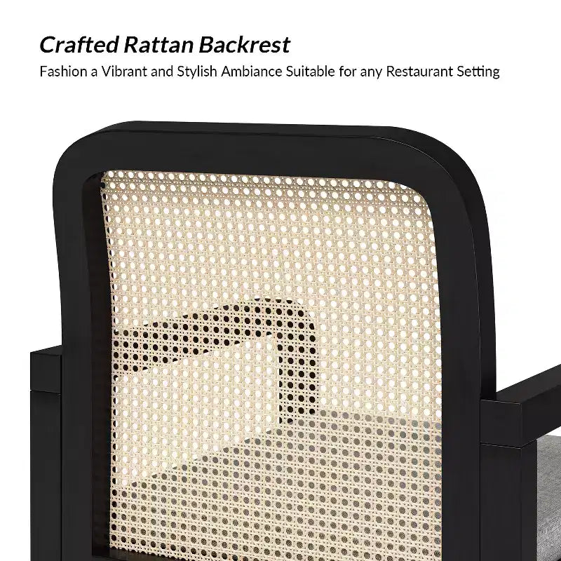 Hieromymus Modern Ratten Dining Chair with Removable Cushion Set of 2|HULALA HOME