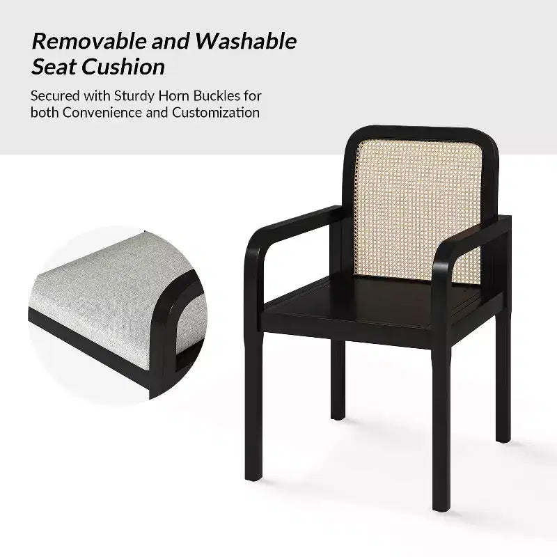 Hieromymus Modern Ratten Dining Chair with Removable Cushion Set of 2|HULALA HOME