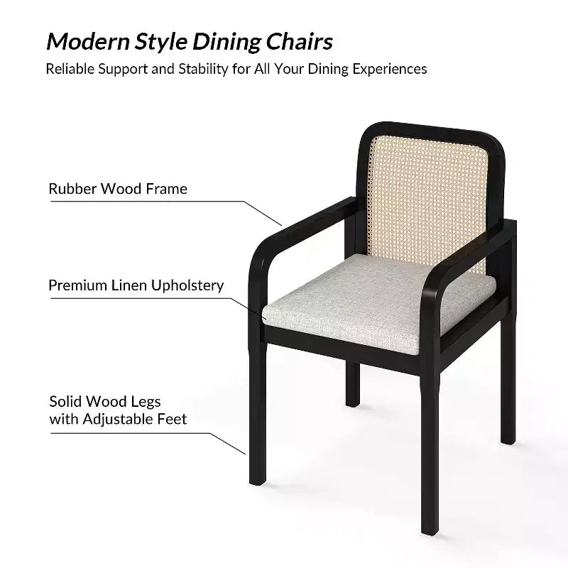 Hieromymus Modern Ratten Dining Chair with Removable Cushion Set of 2|HULALA HOME