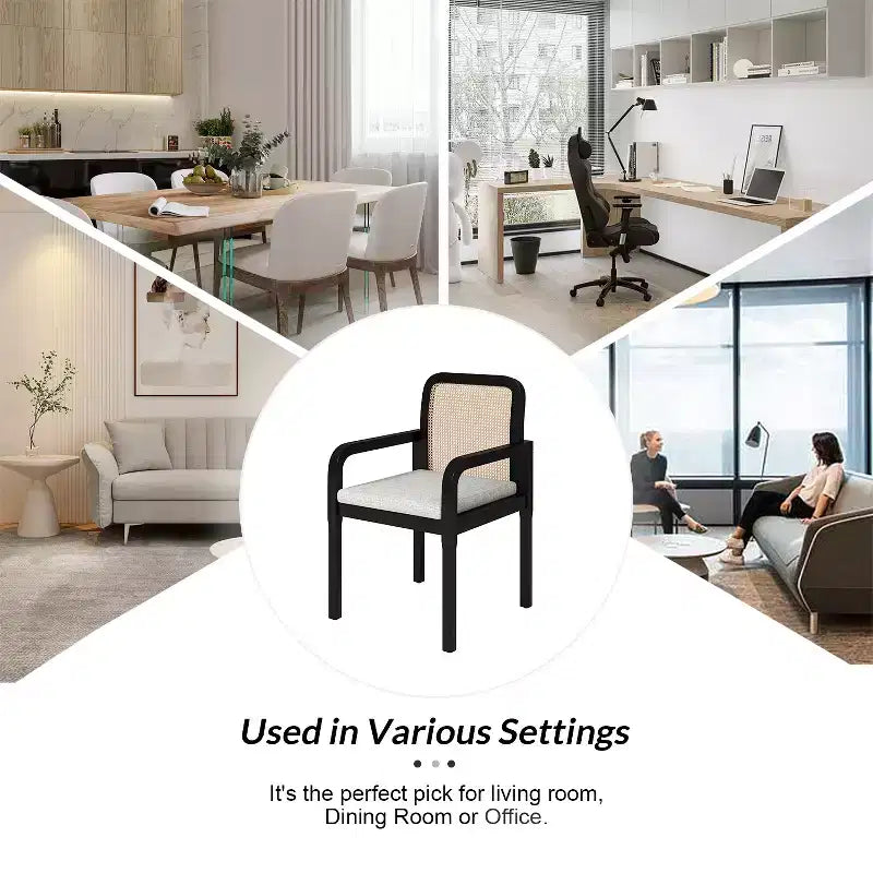 Hieromymus Modern Ratten Dining Chair with Removable Cushion Set of 2|HULALA HOME