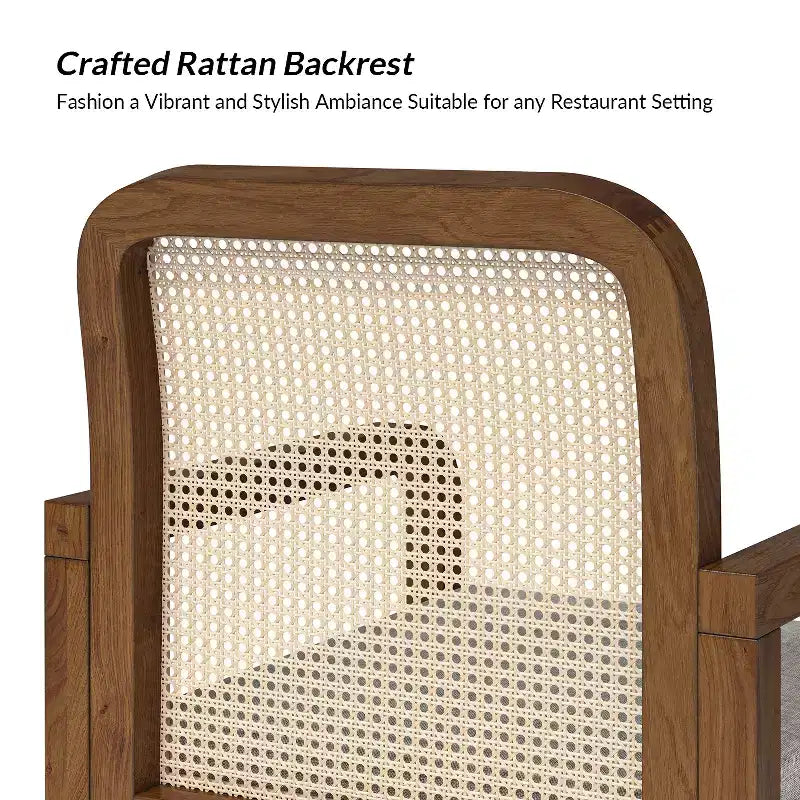 Hieromymus Modern Ratten Dining Chair with Removable Cushion Set of 2|HULALA HOME
