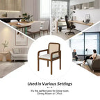 Hieromymus Modern Ratten Dining Chair with Removable Cushion Set of 2|HULALA HOME
