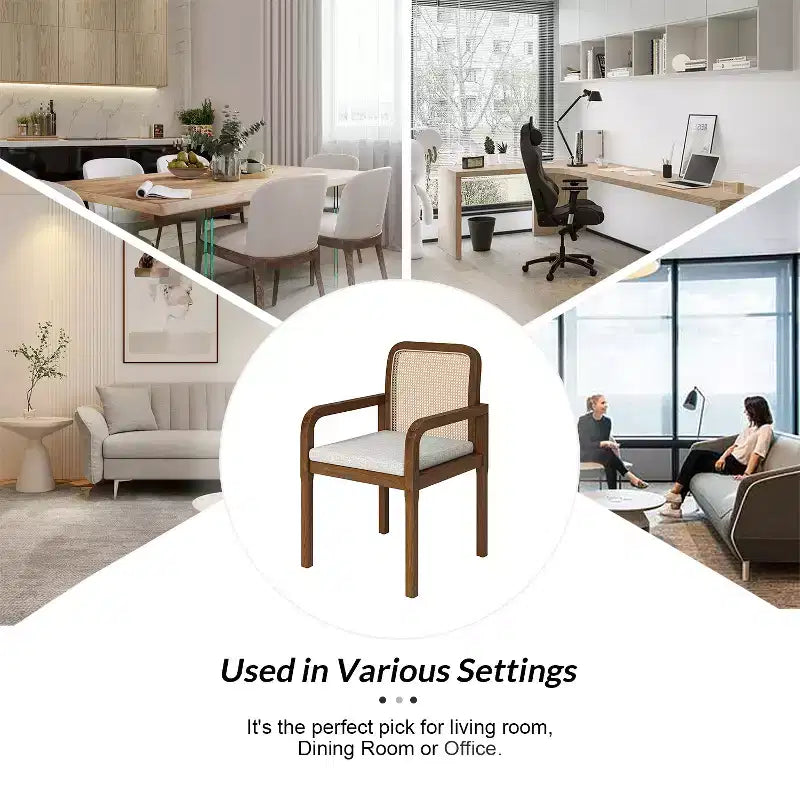 Hieromymus Modern Ratten Dining Chair with Removable Cushion Set of 2|HULALA HOME