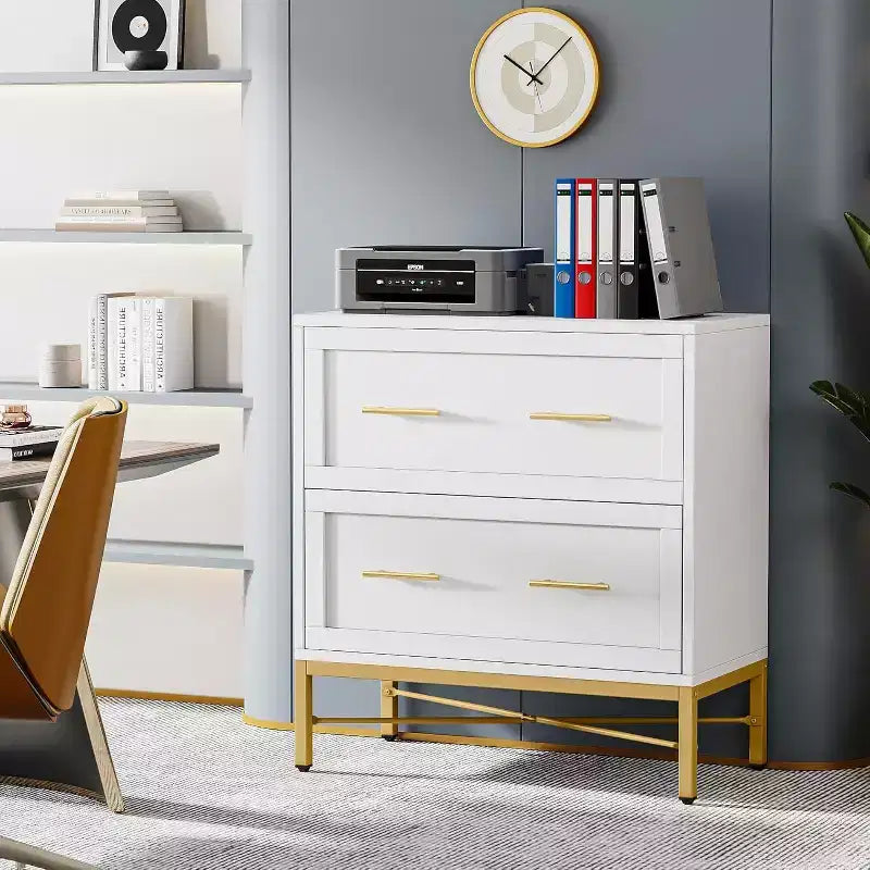 Tribesigns Lateral Filing Cabinet, 2-Drawer File Storage Cabinet
