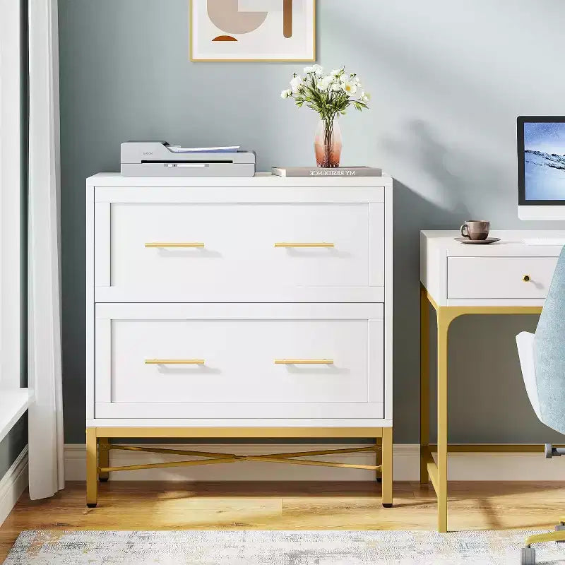 Tribesigns Lateral Filing Cabinet, 2-Drawer File Storage Cabinet