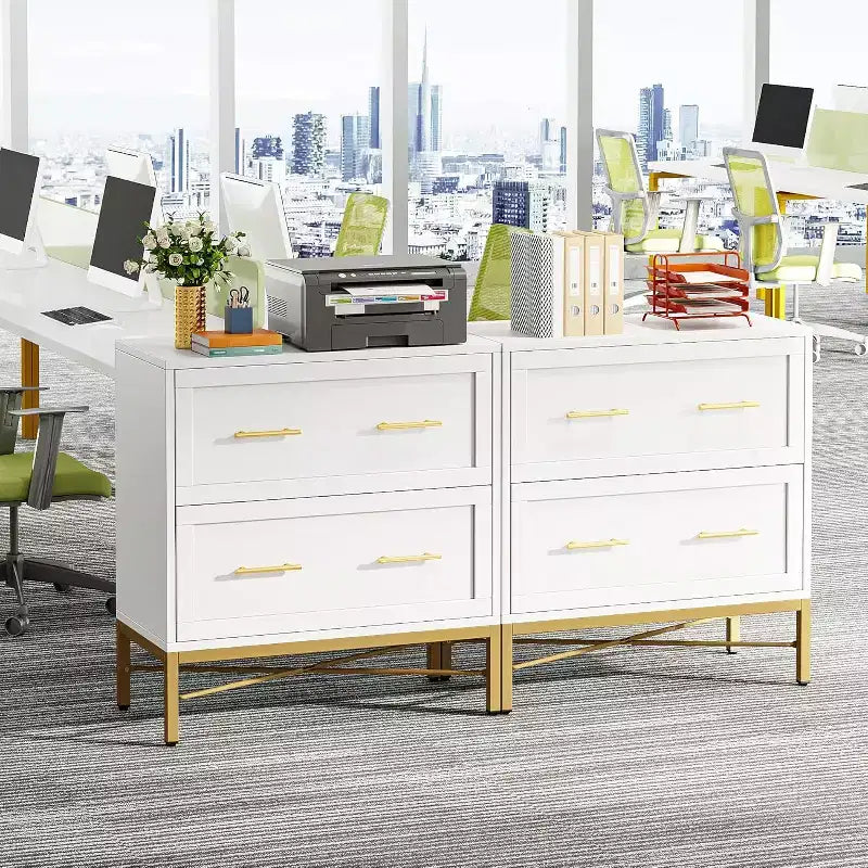 Tribesigns Lateral Filing Cabinet, 2-Drawer File Storage Cabinet