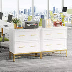 Tribesigns Lateral Filing Cabinet, 2-Drawer File Storage Cabinet