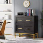 Tribesigns Lateral Filing Cabinet, 2-Drawer File Storage Cabinet