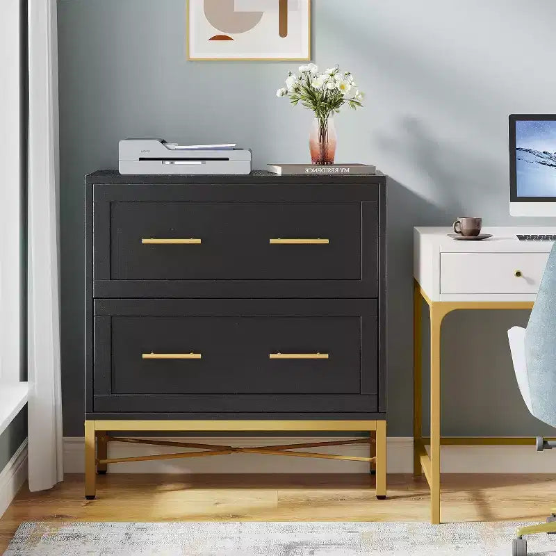 Tribesigns Lateral Filing Cabinet, 2-Drawer File Storage Cabinet