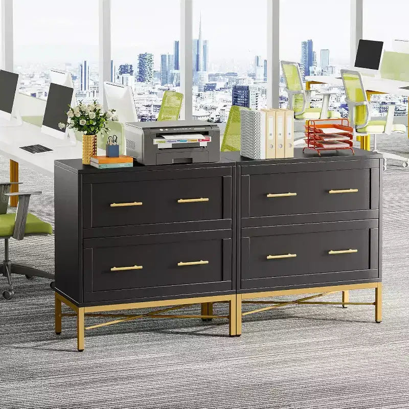 Tribesigns Lateral Filing Cabinet, 2-Drawer File Storage Cabinet