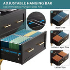 Tribesigns Lateral Filing Cabinet, 2-Drawer File Storage Cabinet