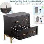 Tribesigns Lateral Filing Cabinet, 2-Drawer File Storage Cabinet