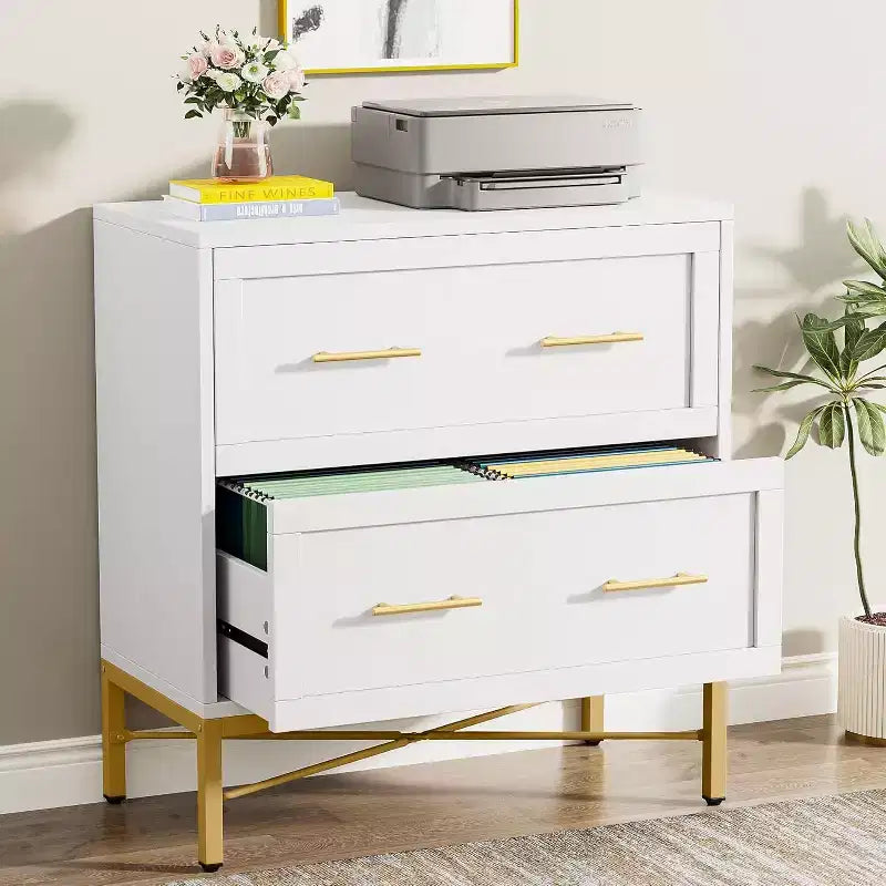 Tribesigns Lateral Filing Cabinet, 2-Drawer File Storage Cabinet