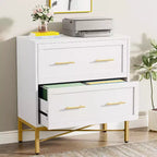 Tribesigns Lateral Filing Cabinet, 2-Drawer File Storage Cabinet