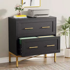 Tribesigns Lateral Filing Cabinet, 2-Drawer File Storage Cabinet