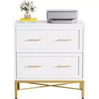 Tribesigns Lateral Filing Cabinet, 2-Drawer File Storage Cabinet